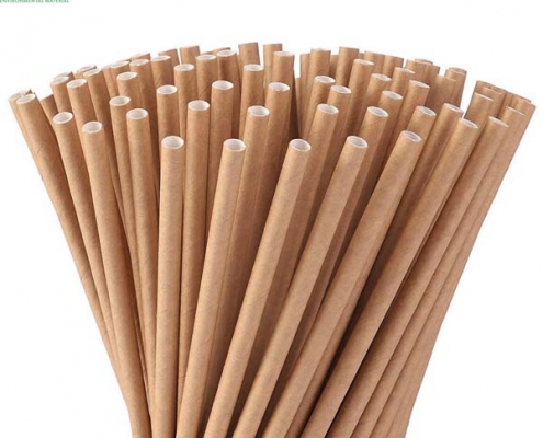 100% biodegradable material reusable bamboo OEM straw