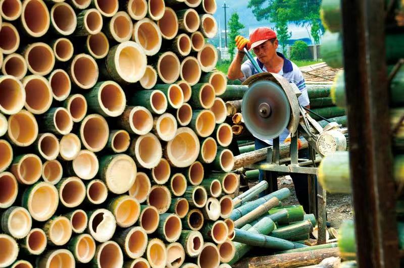 Why to use "bamboo instead of plastic"? Doocity